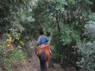 Pbaños por los bosques del Aude 